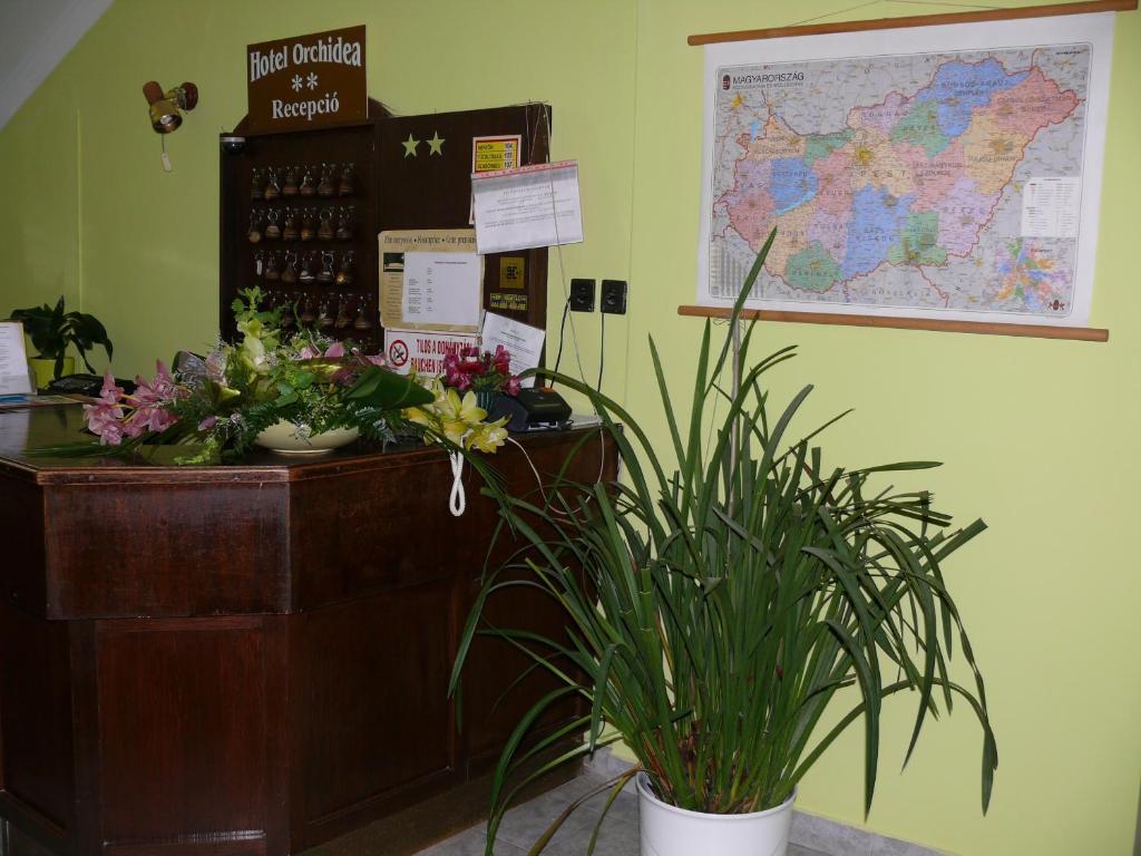 奥切德酒店 Balástya 外观 照片